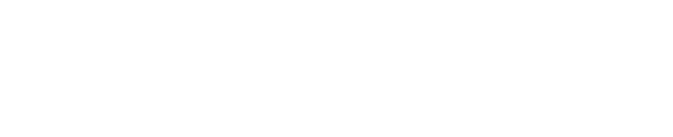 nopCypher-Logo