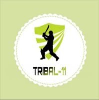 Tribal 11