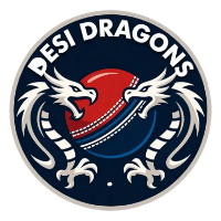 DESI DRAGONS