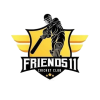 FRIENDS XI